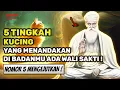 Lagu MENGEJUTKAN❗ 5 Tingkah Kucing Terhadapmu Yang Menandakan Di Badanmu Ada Khodam Para Wali!🔥🔥