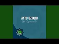 Download Lagu AYYU DZIKRO