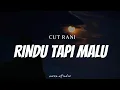 Download Lagu CUT RANI - Rindu Tapi Malu ( Lyrics )