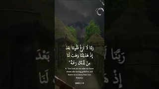 ر ب ن ا ل ا ت ز غ ق ل وب ن ا ب ع د إ ذ ه د ي ت ن ا آل عمران 8 الشيخ مشاري الراشد 