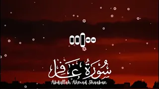                                                دندنها