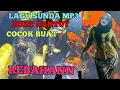 Download Lagu LAGU SUNDA MP3  COCOK BUAT REBAHAN