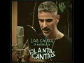 La Naturaleza - Planta & Canta & Los Cafres