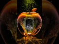 Download Lagu surah Yasin beautiful voice Mashallah 💕 Quran tilawat ❤️‍🩹 //Quran world 🌎// #viralshor