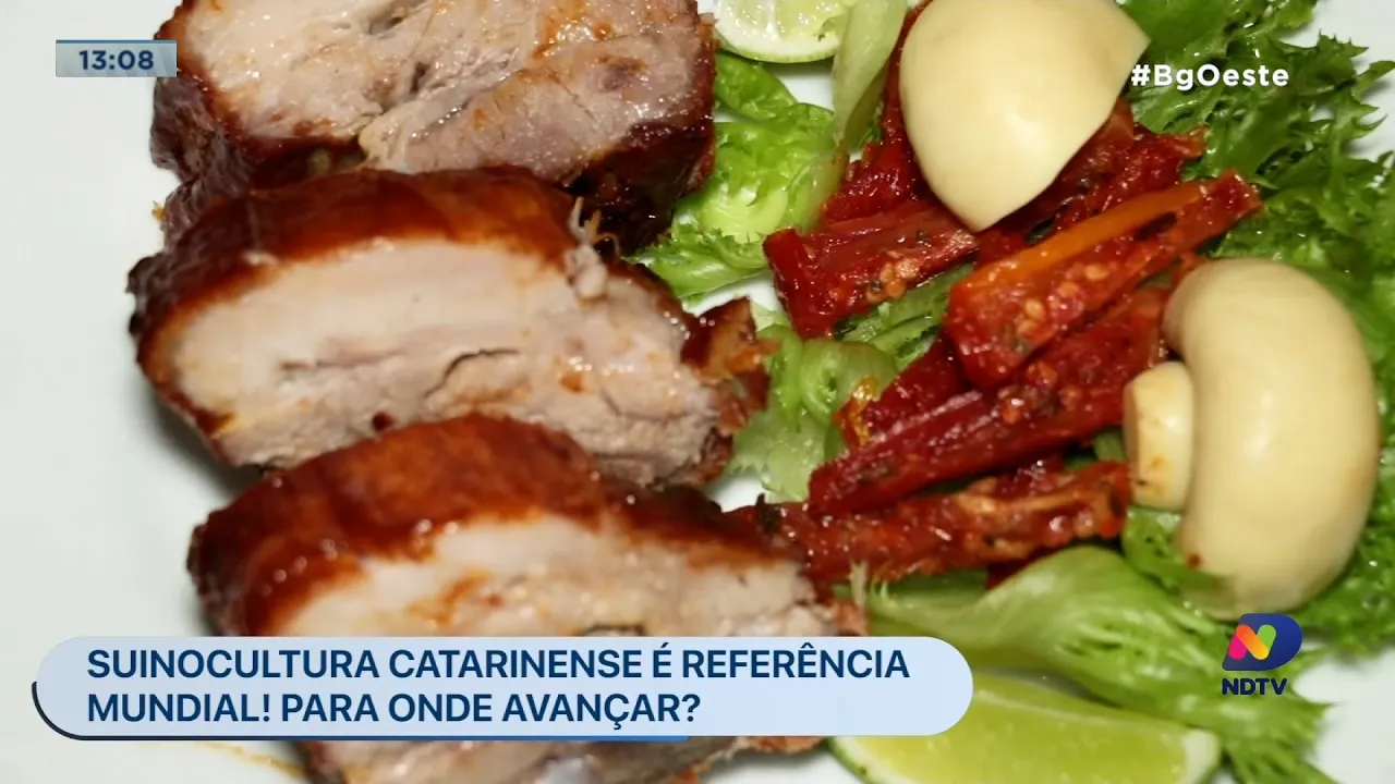 Santa Catarina é o maior produtor de carne suína e um simpósio em Chapecó discute o assunto