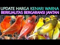 Lagu 🔴INFO KIOS (GUDANGNYA KENARI WARNA) KENARI BERKUALITAS BERGARANSI DI PASAR BURUNG PRAMUKA HARI INI