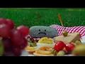 Dear Pet Rock (music video)