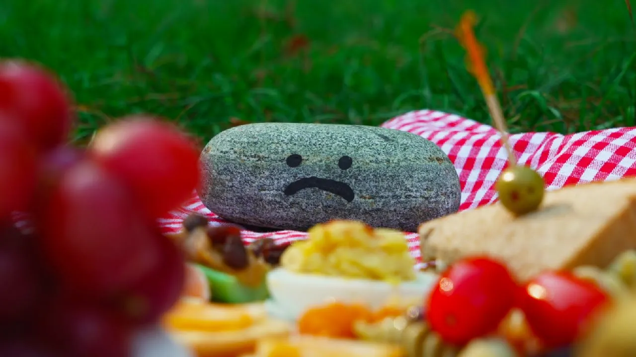 Dear Pet Rock (music video)