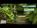 Transforming Overgrown Backyard Into A Stunning Garden Great Home Ideas