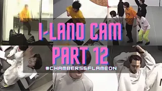 Download ILAND CAM PART 12 - TOP 11 CHAMBER 5 \u0026 FLAME ON INTERACTION (Cute \u0026 Funny) | i-land cam | iland cam MP3