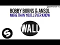 Download Lagu Bobby Burns \u0026 Ansol ft. Chad Wolf - More Than You'll Ever Know (OUT NOW)