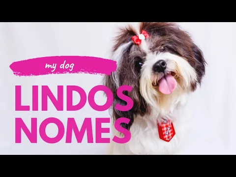 Download MP3 NOMES DE CACHORROS