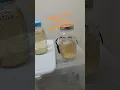 Download Lagu this is why people say liquid culture is difficult #mycology #liquidculture #mushroom