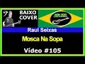 🇧🇷 Raul Seixas - Mosca Na Sopa (Baixo Cover) CBJUNIOR04
