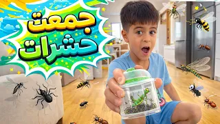 جمعت حشرات بعلبة ودخلتهم البيت عند ماما