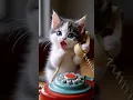 Download Lagu 🫶🇺🇸adorable kitten 🐈‍⬛ videos YouTube shorts