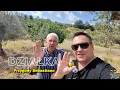 Download Lagu Witaj SYCYLIO! Tania DZIAŁKA na SYCYLII z GAJEM oliwnym i domem! WIELKA WYPRAWA, KUPIĆ? #sycylia