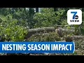 Buffalo Contractors Destroy Bird Habitat at Times Beach Nature Preserve During Nesting Season