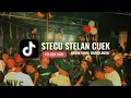 Lagu STECU - STELAN CUEK - REMIX VIRAL ACARA 2025 🍊