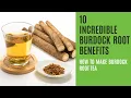 Lagu 10 Impressive Benefits of Burdock Root | How to Make Burdock Root Tea