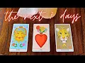 Download Lagu De volgende 7 dagen☀️❤️🐆Kies een kaart💫