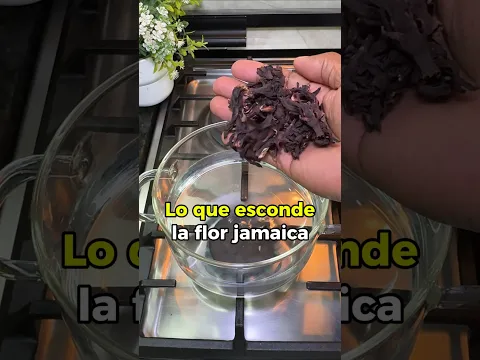 Lo que no te dicen de la flor de jamaica