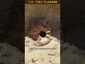 Download Lagu Surprising Drone Discovery: Exploring Remote Caves from Above! 🌄🚁#DroneFootage