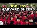 Why Even HARVARD s Smartest Students Can t get a Job Now