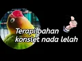 Download Lagu Masteran bahan konslet nada lelah