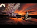 Download Lagu Evolution of Butterflies