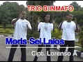 Download Lagu MORIS SEI LALOS - TRIO BIINMAFO { LORENS , EDDY , SABAR }