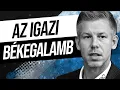 Download Lagu Magyar Péter Kárpátalján kalandozna | Miért jó egy Bezzegbécsi hajléktalannak?