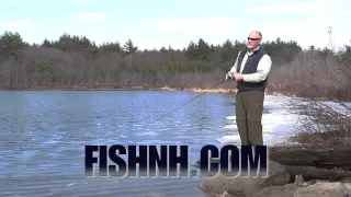 Fish NH