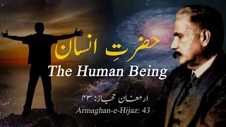                        ارمغان حجاز                    حضرت انسان                                     دندنها
