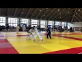Shodokan aikido randori