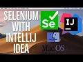 How to Set Up IntelliJ Idea for Selenium on Mac