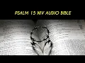 PSALM 15 NIV BIBLE