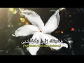 Download Lagu sholawat (ataituka ya khaliqi) sholawat penyejuk hati:-)