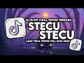 Download Lagu DJ STECU STECU - KALAU MEMANG COCOK BISA DATANG KE RUMAH REMIX FULL BASS VIRAL TIKTOK TERBARU 2025