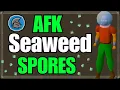 How To Get Seaweed Spores AFK Ironman Guide 2026