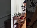 Vídeo do produto