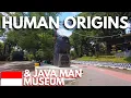 Are these the origins of humans Visiting the Java Man Museum