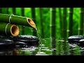 Lagu vercome Stress with Nature Sounds Try This ASMR for True Relaxation, meditation, relax music