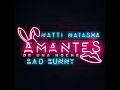 Amantes de una Noche