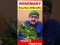 Download Lagu Benefits of Rosemary Herb and How to Use, Unlock the Power of Nature! #kitchengarden #herbalremedies
