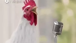 اغنية مضحكه جدا اتحداك ما تضحك سمعها