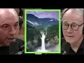 Download Lagu Joe Rogan | The Amazon is a Colossal Mystery w/Graham Hancock
