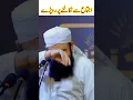 Download Lagu Mulana Tariq Jameel Mansehra About Said | #tariqjameel #shorts #viralvideo