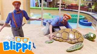 Blippi mengunjungi taman bermain dalam ruangan! (Edisi pasir) | Blippi Bahasa Indonesia