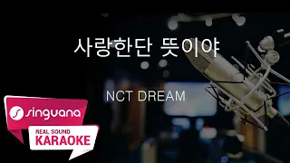 Download [SingVana 노래방] 사랑한단 뜻이야 - NCT DREAM / SingVana Karaoke MP3